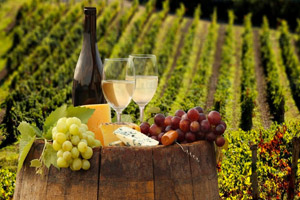 Roteiro de Vinhos da Toscana